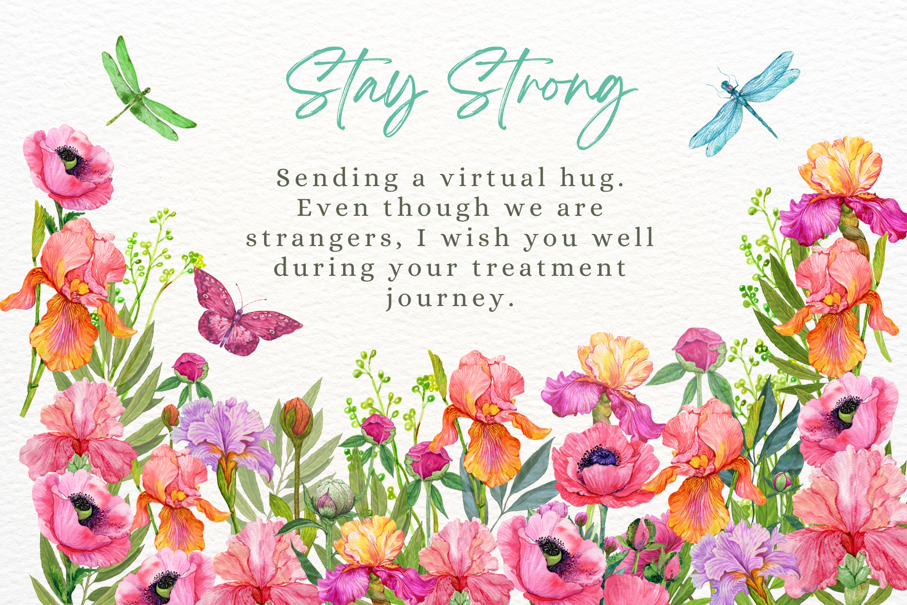 ACS Ecard Greeting Card 2